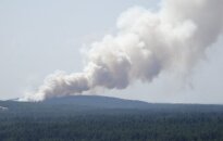 Na pomorzu znowu pożar. Rosjanie odrzucili pomoc litewskich strażaków