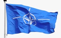 Обозреватель: в Беларуси тоже ожидают отсчета НАТО