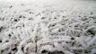 „120s“: rekordinis sniego kiekis ir „The Wall“ protestas