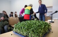 83 m. lietuvė iš JAV dirbo 18 valandų per dieną: kokia jos mitybos paslaptis