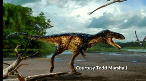 Mažesnis tiranozauro pirmtakas padėjo įminti paleontologijos mįslę