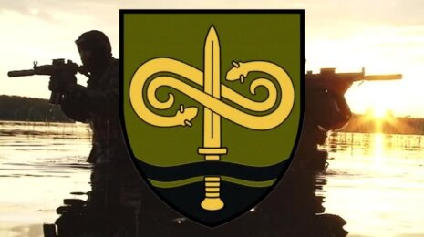 Lithuanian Vikings: Combat Divers Service (I)