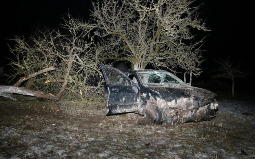 „Mazda“ įskrido į sodą net nepalietusi tvoros