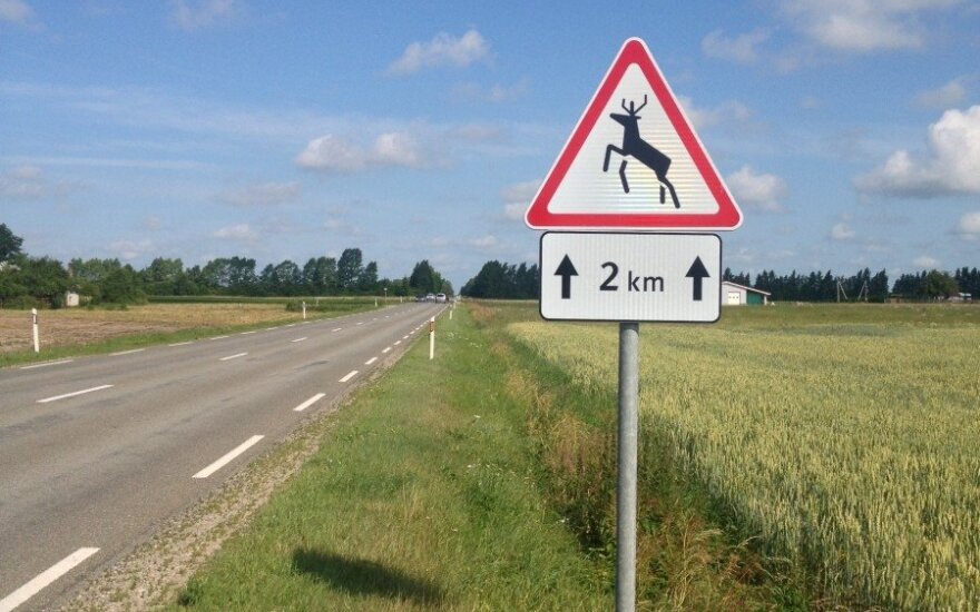 Stirna sukėlė avariją: automobilis apsivertė griovyje
