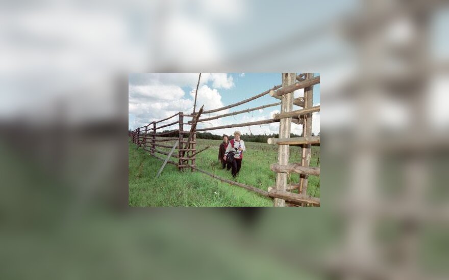 Žemė