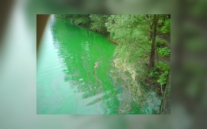 Rygos gyventojus išgąsdino žalias ežero vanduo