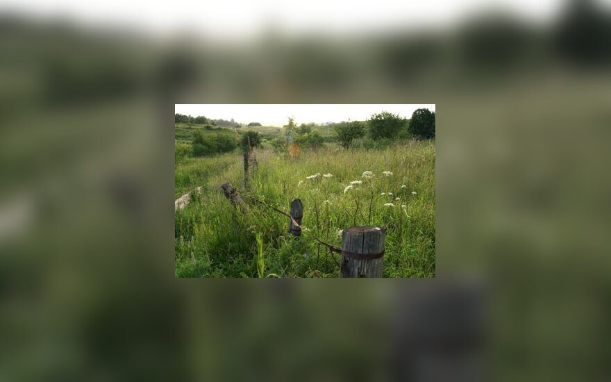Pakruojyje – artojų varžytuvės