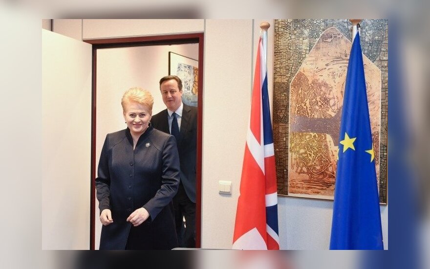 Davidas Cameronas ir Dalia Grybauskaitė