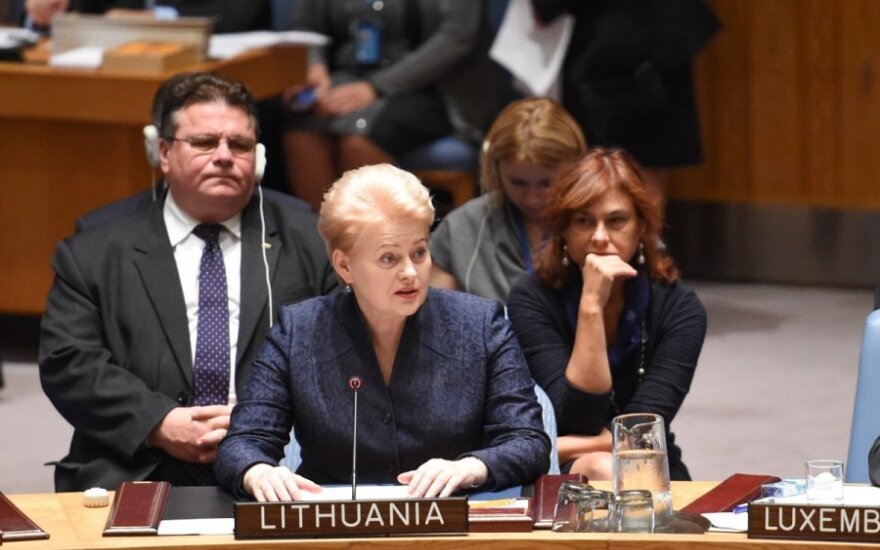 Президент Литвы в ООН сделала акцент на угрозах терроризма в Европе