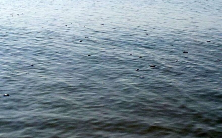 Отдыхающие в Паланге возмущены: в море плавают экскременты