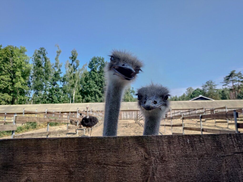 Nornieki rope farm