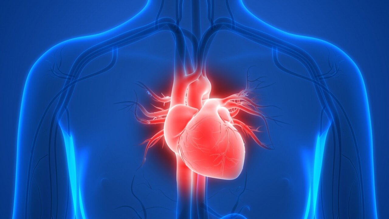 vaistai širdies nepakankamumui ir hipertenzijai gydyti