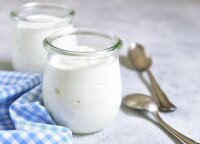 Gerųjų bakterijų šaltinis – graikiškas jogurtas: patarė, kaip lengvai jo pasigaminti namuose