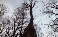 Dvaras, saugantis ankstesniųjų gyventojų istorijas