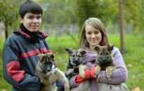 Tautmilės gyvūnų prieglaudos rytiniai siurprizai ieško namų!