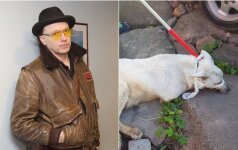  The inhabitants of Užupis are avaricious: the artist Cicėnas has left his dog defused 