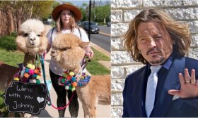 Gerbėja Johnny Deppą prie teismo rūmų palaiko originaliu būdu: atsivedė dvi alpakas
