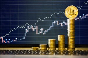 bitcoin grynųjų pinigų prognozė šiandien
