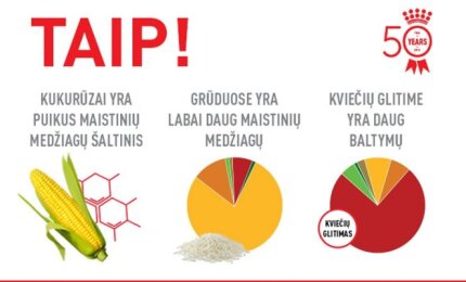 erekcijos kukurūzai matomi varpos kapiliarai