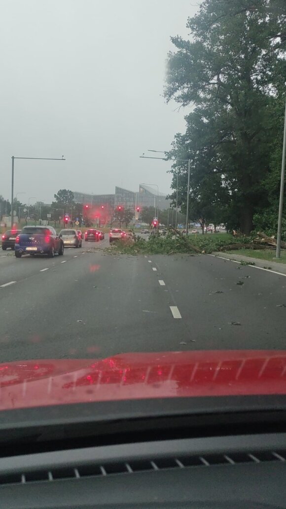 Lithuania is terrified of storms: even the road is covered with trees and electricity has been lost in some places