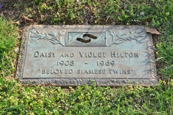 Daisy ir Violet Hilton