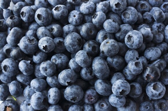 Blueberries or blueberries?