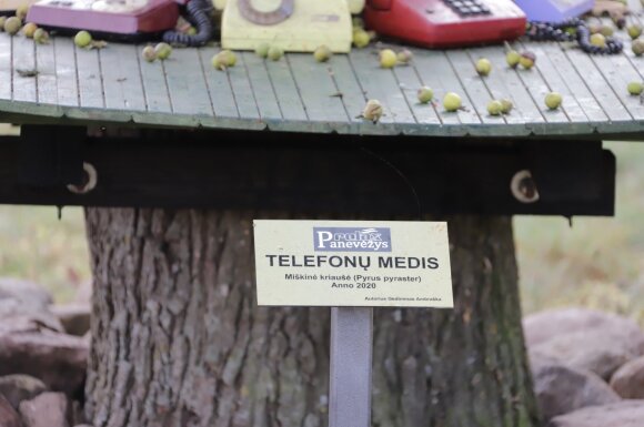 В Паневежском районе появилось "телефонное" дерево