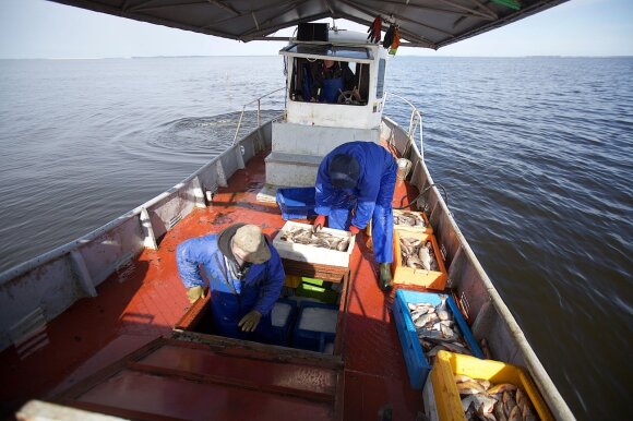 Biologas įvardijo didžiausias Baltijos jūros ir Kuršių marių problemas: ko dar galima pagauti ir kodėl reikėtų nežvejoti 8 metus