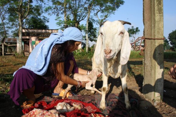 Nepaliečių ūkyje gyvenę ir dirbę lietuviai apie jų gyvenimą iš arti: šokiruojanti, bet nepaprastai žavinga šalis