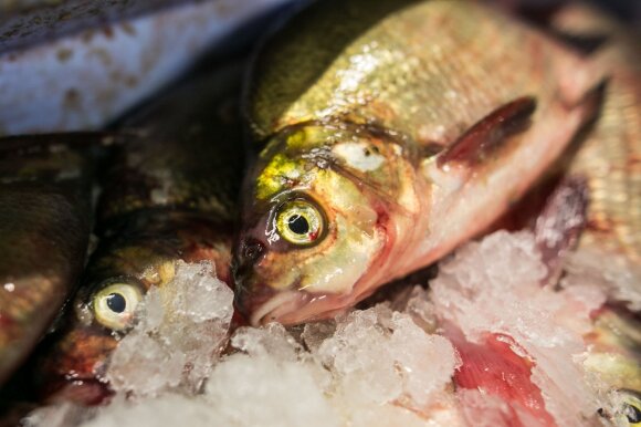 To avoid spoiling the holidays: how not to be fooled when choosing frozen fish