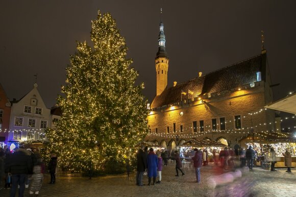 Tallinns Weihnachtsbaum