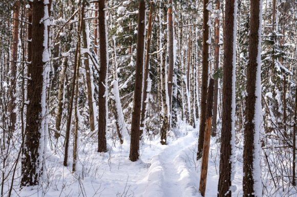 This educational trail does not lose popularity all year round - in winter the views are fabulous.