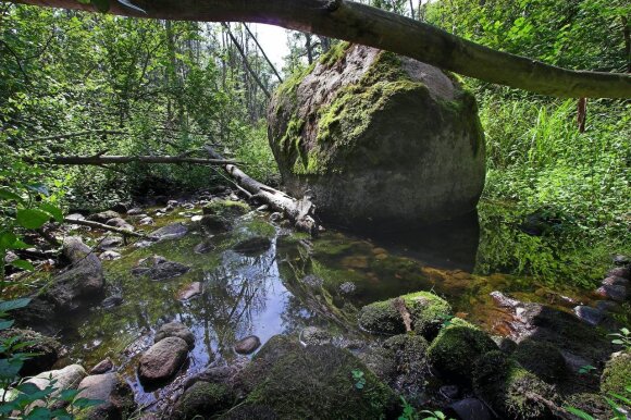 By time in nature: the 5 most beautiful cognitive trails in Lithuania