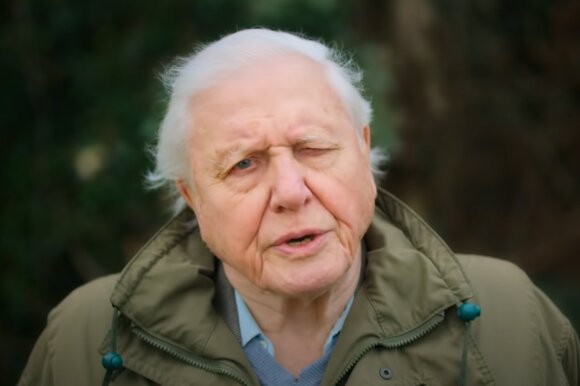 D. Attenborough