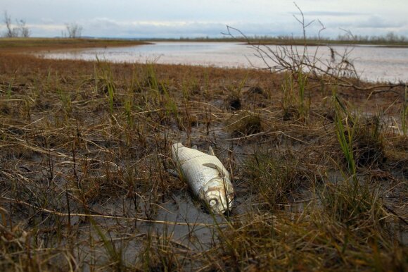 Ecological disaster in Norilsk