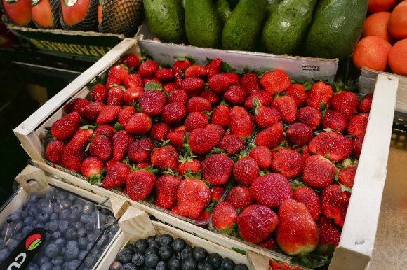 Large strawberry harvest in the Lithuanian fields: warns that prices will rise