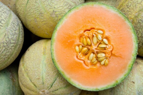 „Delfi agro“. Sodiname arbūzus ir melionus – kokių klaidų nedaryti