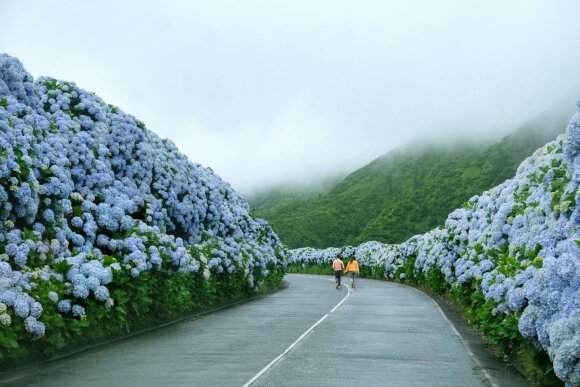 Turistų akiratyje atsidūrę Azorai vadinami rojumi Europoje: nuostabi gamta, ištisus metus vasariškas oras ir nedidelės kainos
