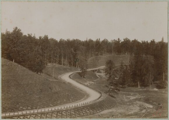 Ąžuolynas ties A. Mickevičiaus slėniu, 1885-1895 m. // Vaclovas Zatorskis, Nacionalinio M. K. Čiurlionio dailės muziejaus nuotr.
