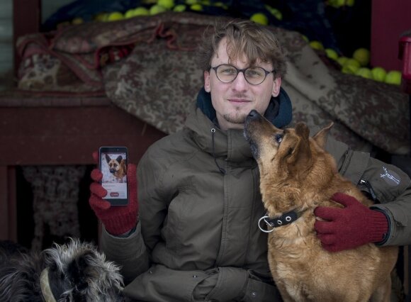В Литве появился Tinder для знакомства с собаками
