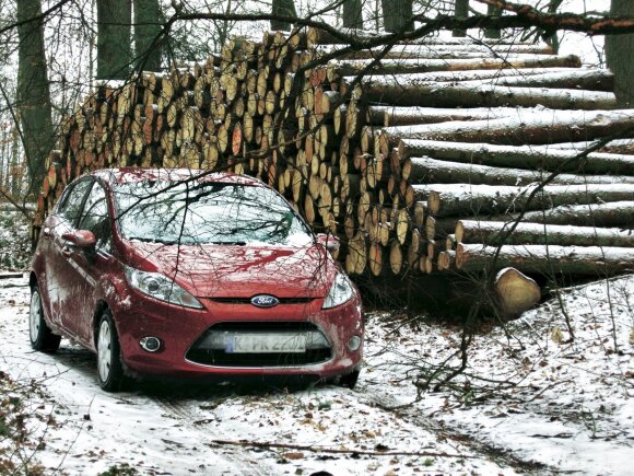 Miško proskynoje: bandomasis „Ford Fiesta“ pakeliui į Švediją