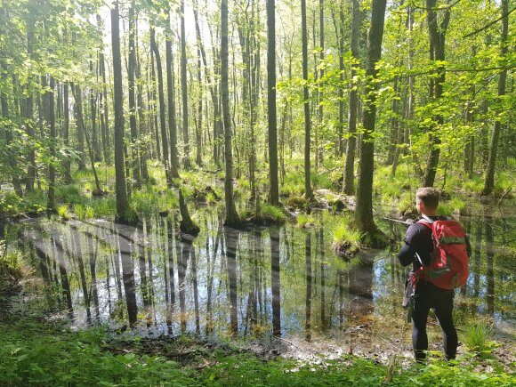 How the places and objects of ancient Lithuania have changed from ancient times to the present day: the routes prepared by the Lithuanians will allow you to see for yourself