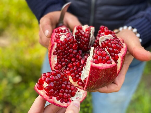 An Italian farmer showed me how to eat a pomegranate