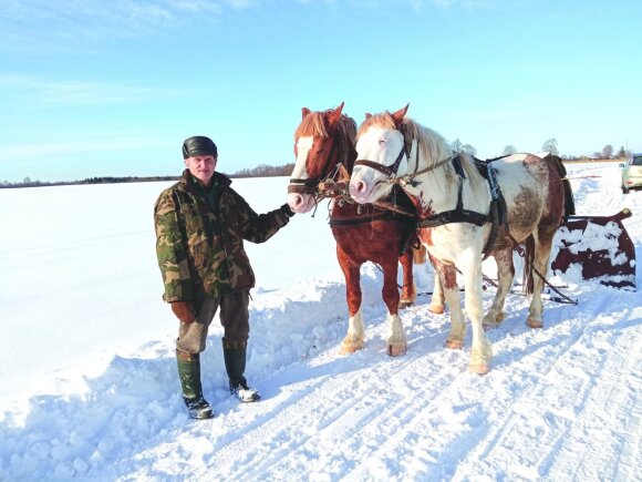 Snow cleaning horse