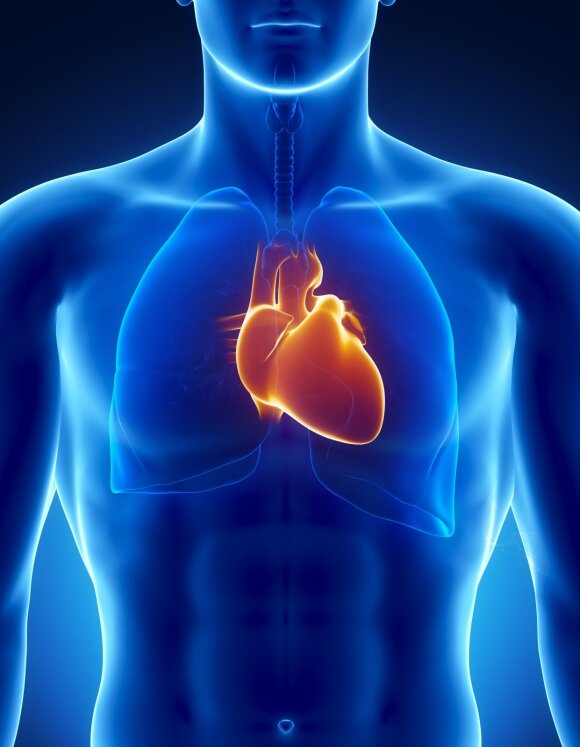 Myocardial infarction usually happens unexpectedly - the cardiologist warned of any signs of neglect