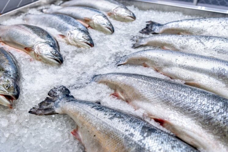 Baltijos žuvyse aptiko gyvsidabrio: mokslininkas abstulbęs – vieną rodiklį viršija dešimt kartų, bet valgyti leidžia