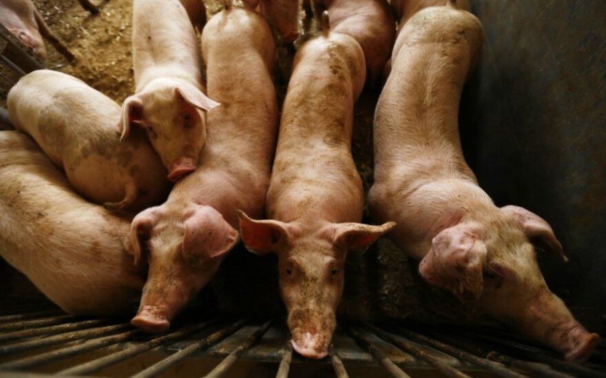 Estonia lifts ban on Lithuanian pork imports