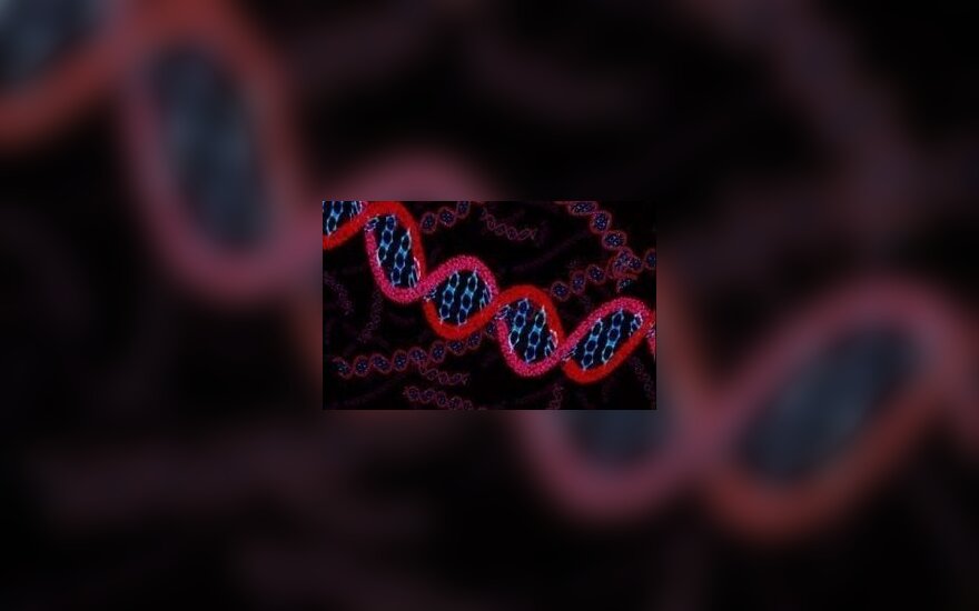 Gonorėjos genome aptikta žmogaus DNR fragmentų