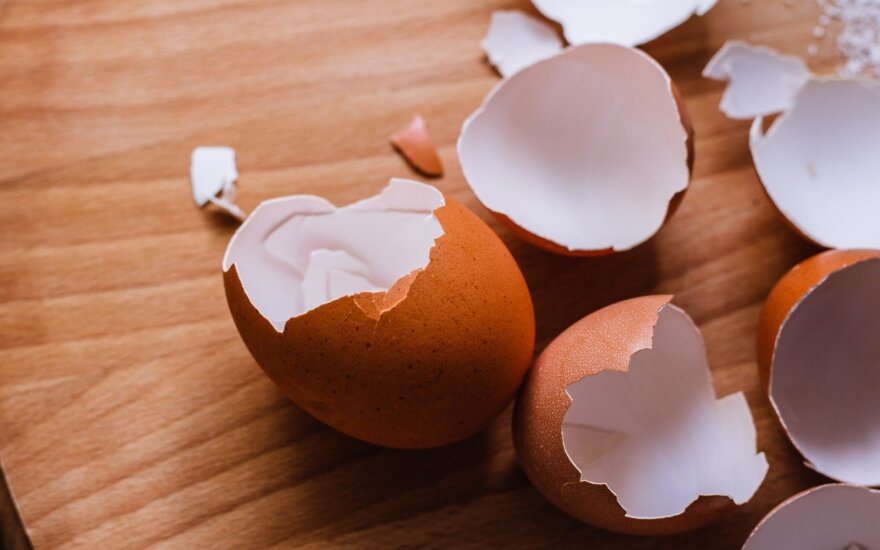 Kiaušinių lukštai – tai ne tik fantastiška trąša, bet priemonė kovai su kurmiais ir pomidorų gelbėjimui