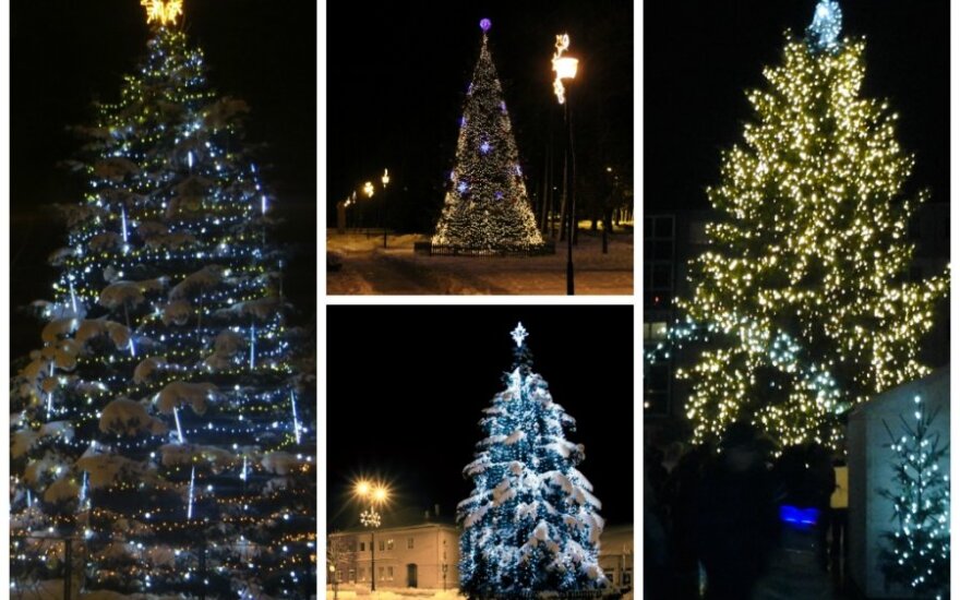 Alternatyvūs eglutės rinkimai: išrink mieliausią žaliaskarę!